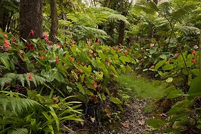 Hale 'Ohu Bed & Breakfast