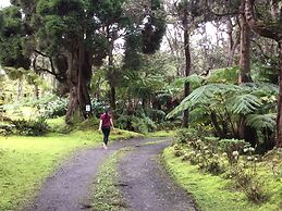 Hale 'Ohu Bed & Breakfast