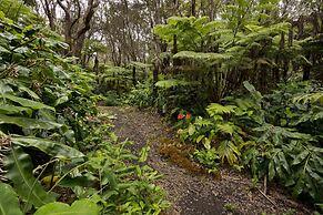 Hale 'Ohu Bed & Breakfast