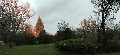 Cabañas El Algodonal