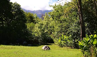 Cabañas El Algodonal