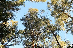 Cabañas El Algodonal