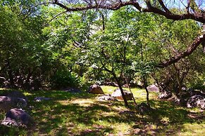 Cabañas El Algodonal