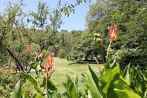 Cabañas El Algodonal