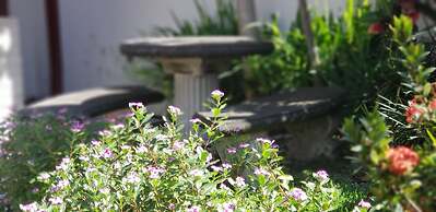 Alajuela City Hotel & Guest House