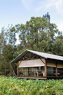 The Boathouses at Leaves & Fishes