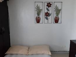 Luxury Loft in Cebu City