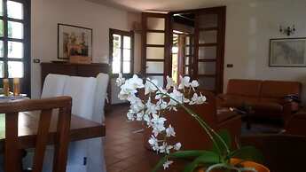 Fiori di Maggio