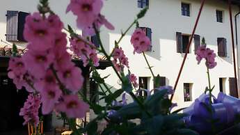 Fiori di Maggio