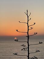 Villa jardin de l'ocean