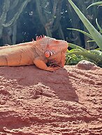 Villa jardin de l'ocean