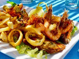 Villa jardin de l'ocean