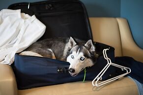 WoodSpring Suites West Monroe I-20