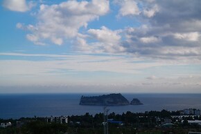 Wind Direction Village