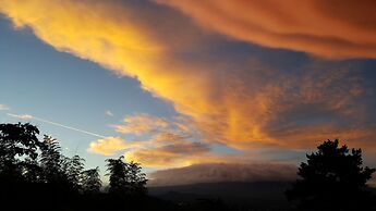 Wind Direction Village