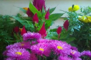 Kathmandu Peace Guest House