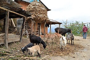 Hotel at the End of the Universe