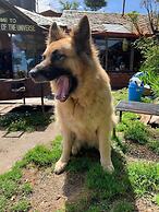 Hotel at the End of the Universe