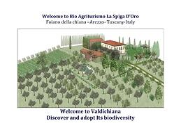 Bio Agriturismo La Spiga D'oro