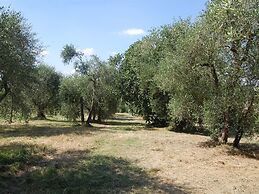 Bio Agriturismo La Spiga D'oro