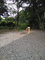 Guests & Dogs House Hale Ilio