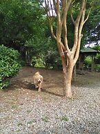 Guests & Dogs House Hale Ilio