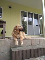 Guests & Dogs House Hale Ilio