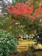 Yew Tree Cottage B&B