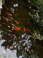 Yew Tree Cottage B&B