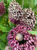 Yew Tree Cottage B&B