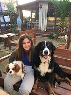 Cesme Ada Butik Hotel