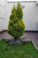 Minimalist Apartment