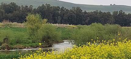 Villa & Lode Bat Galil