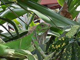 Hotel Pochote Grande