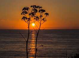 Fattoria il Borghetto