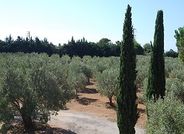Fattoria il Borghetto