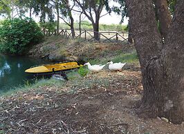 Fattoria il Borghetto