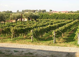 Fattoria il Borghetto