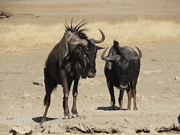 Wildehondekloof