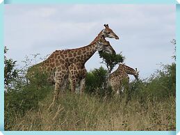 Foxy Crocodile Bush Lodge & Kruger Safari's - No Loadshedding