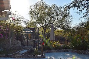 Foxy Crocodile Bush Lodge & Kruger Safari's - No Loadshedding