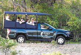 Foxy Crocodile Bush Lodge & Kruger Safari's - No Loadshedding