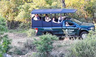 Foxy Crocodile Bush Lodge & Kruger Safari's - No Loadshedding