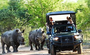 Foxy Crocodile Bush Lodge & Kruger Safari's - No Loadshedding