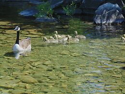 Maple Grove Cottages