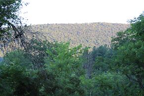 Catskill Seasons Inn