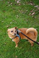 Catskill Seasons Inn