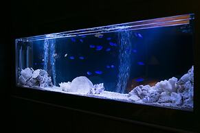 Hotel Atlantis Otsu - Adults Only