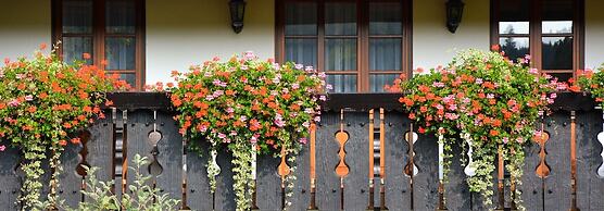 Gasthof Hotel Hirschen