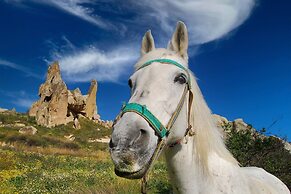 Elegance Cave Suites